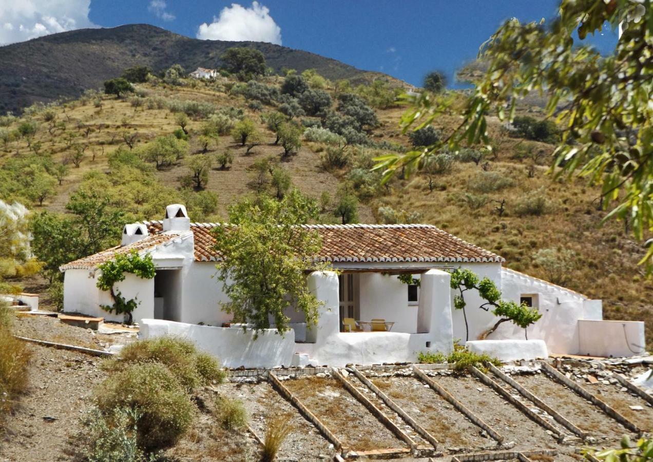 B&B And Apartments Cortijo La Zapatera Canillas de Aceituno Exterior foto